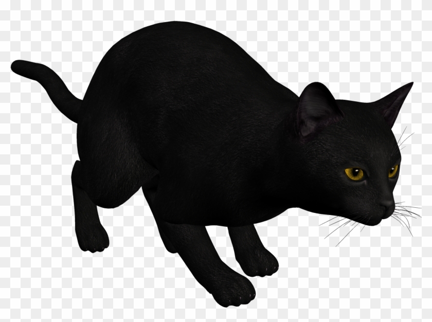 Cat Black Png Clipart - Black Cat #266082
