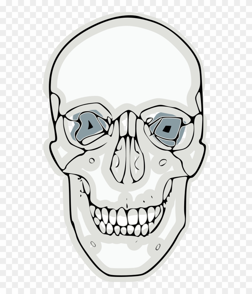 Digitalized Human Skull Clipart, Vector Clip Art Online, - Skull #266203
