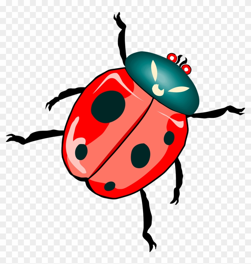 Insect - Beetle Clip Art #266206