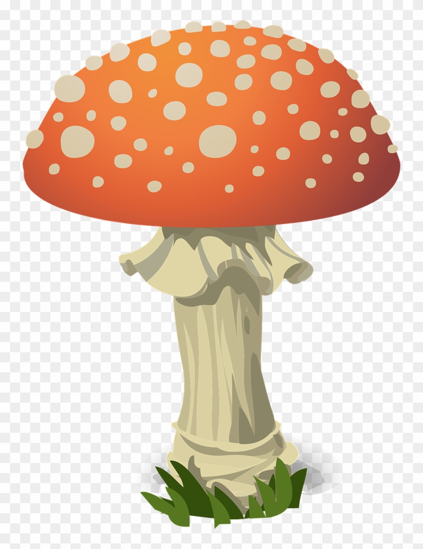 Mushroom Free To Use Clip Art - Parts Of A Mushroom #267115