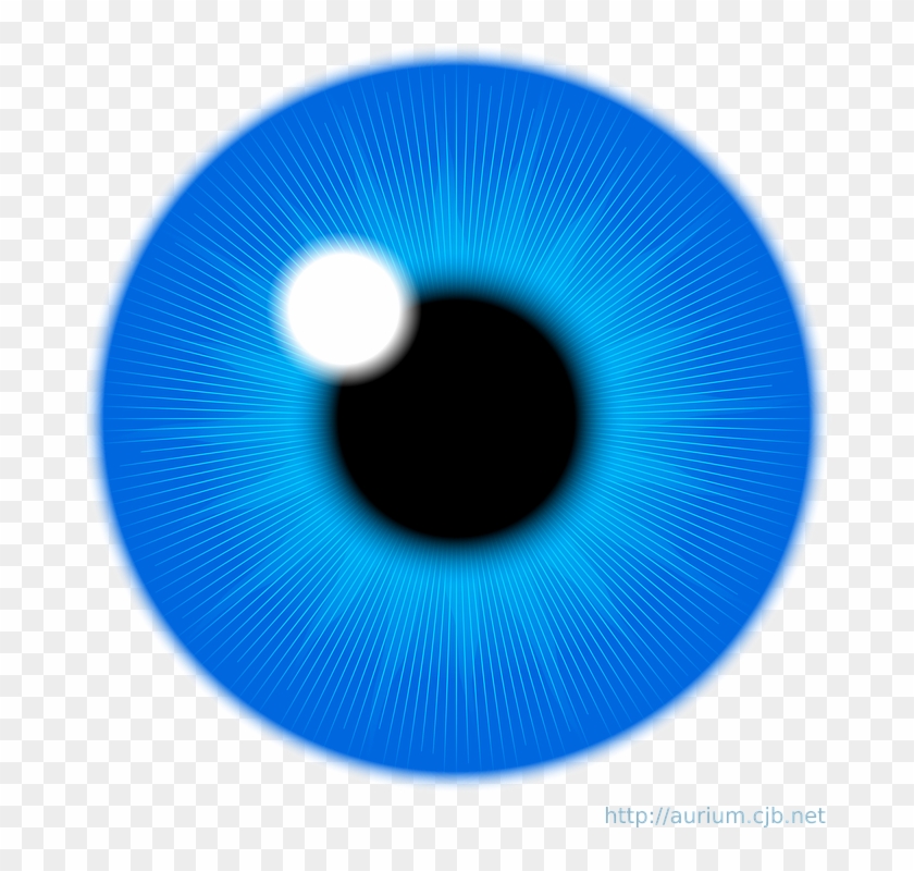 Free Vector Blue Eye Iris Clip Art - Eye Iris Vector #267423
