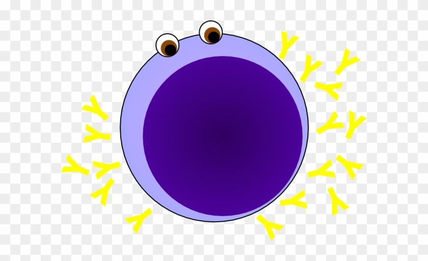 Cartoon B Cell Clip Art At Clker - B Lymphocytes Png #267697