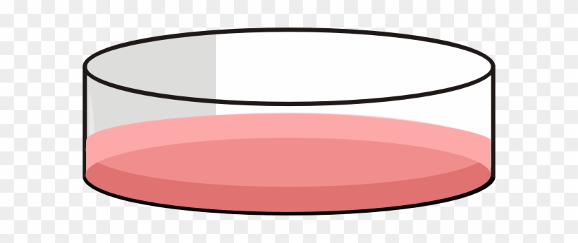 Petri Dish Cell Culture #267698