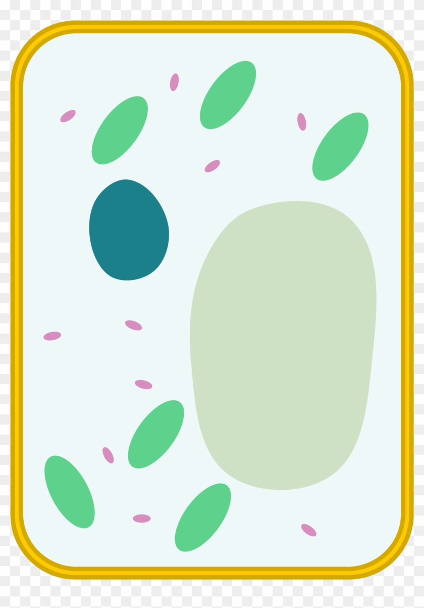 Simple Cell Diagram - Simple Blank Plant Cell Diagram #267734