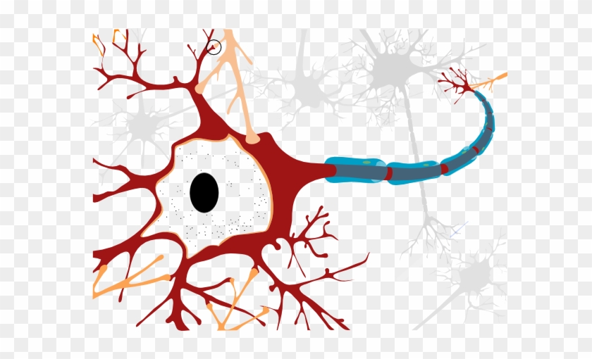 Marfan Syndrome Nervous System #267739