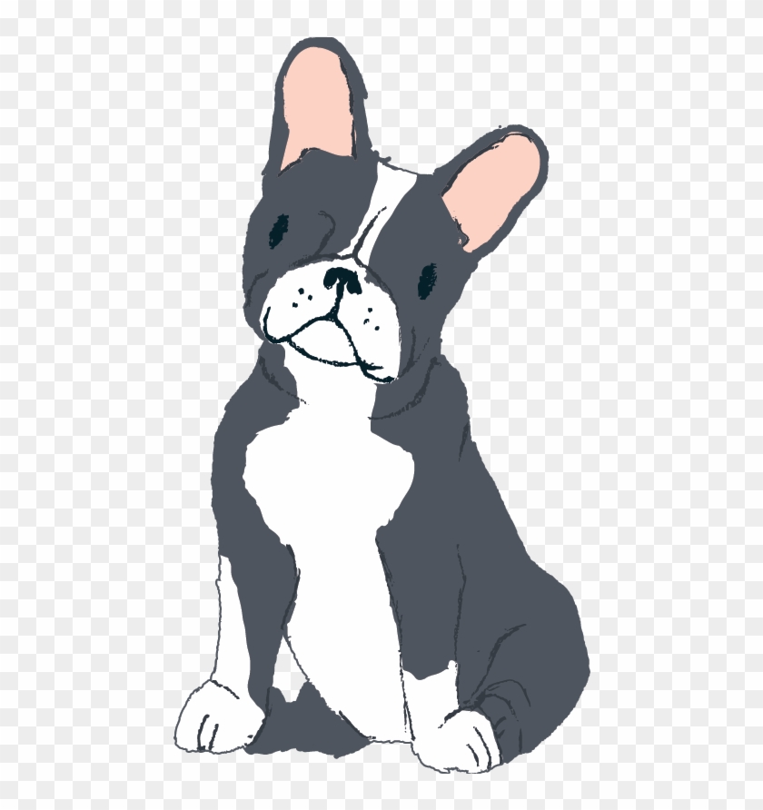 Boston Terrier Black White - Boston Terrier #1759677