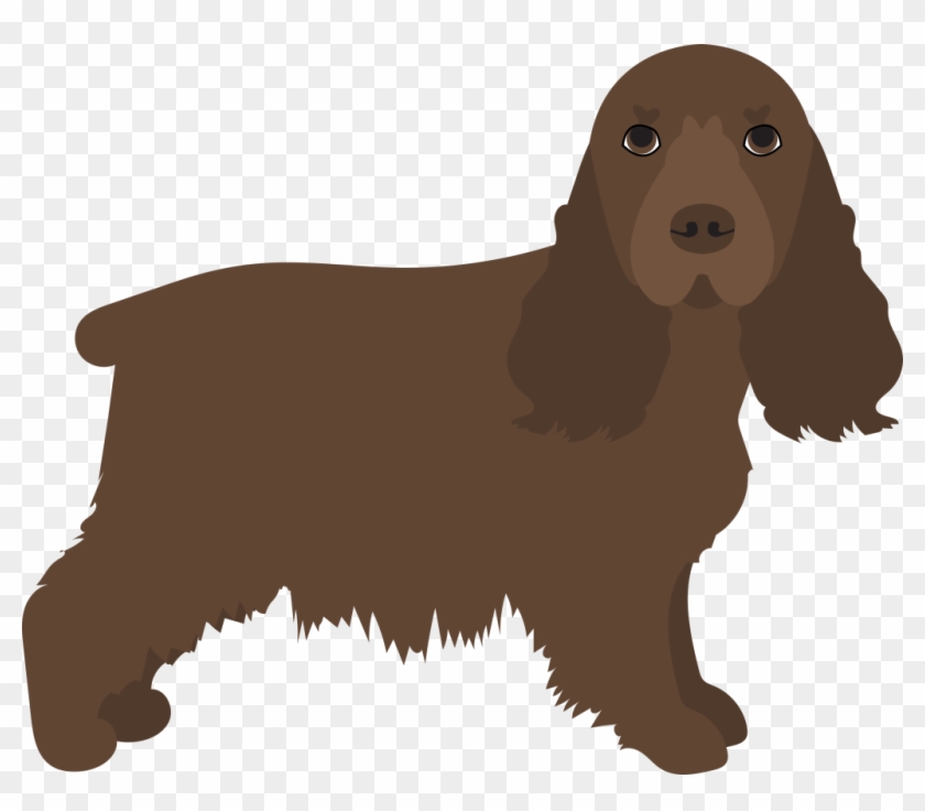 The Golden-iiver Coated Sussex Is The Rarest Of The - English Cocker Spaniel #1759691