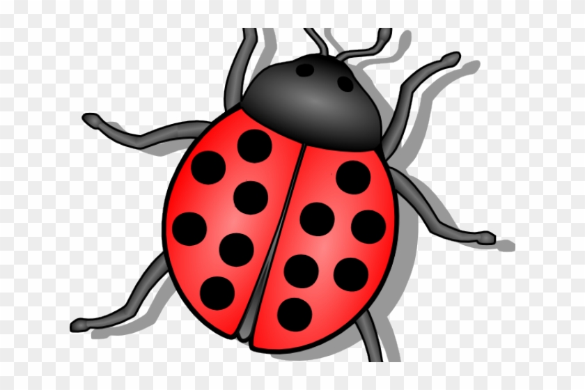 Beetle Clipart Animated - Spring Ladybug Clipart Black And White #1759968