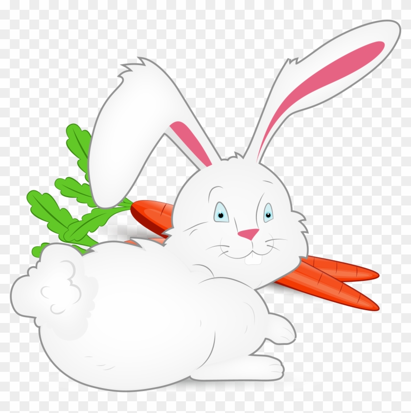 吃红萝卜的兔子 - Domestic Rabbit #1760056