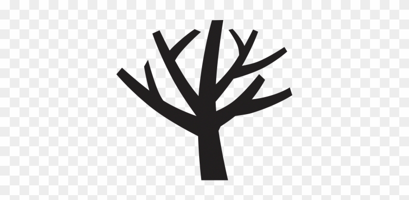 Solid Hardwood Timber Worktops - Tree #1760224