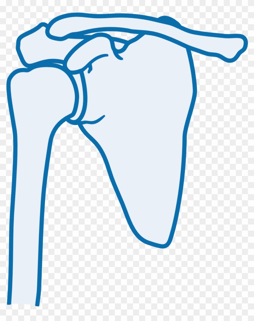 A Shoulder Joint Which Can Have Orthopaedic Testing - Shoulder Joint Icon #1760311