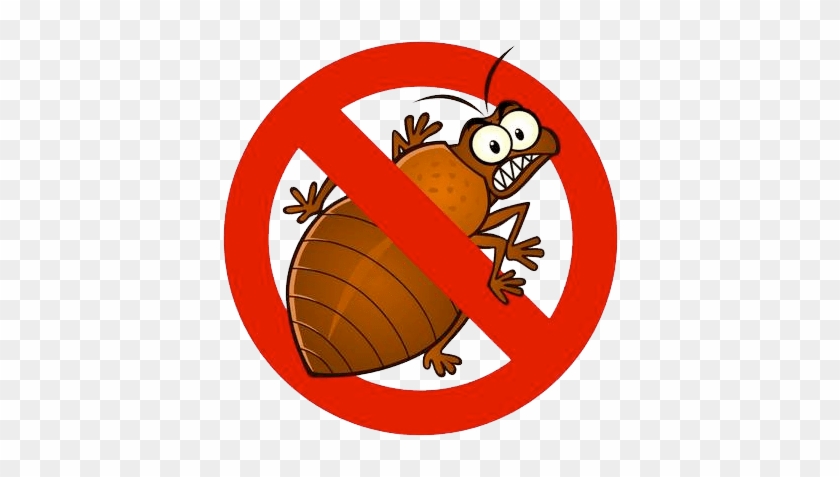 Cleveland Still Has The Worst Bed Bug Infestation Problem - No Bed Bugs #1760416