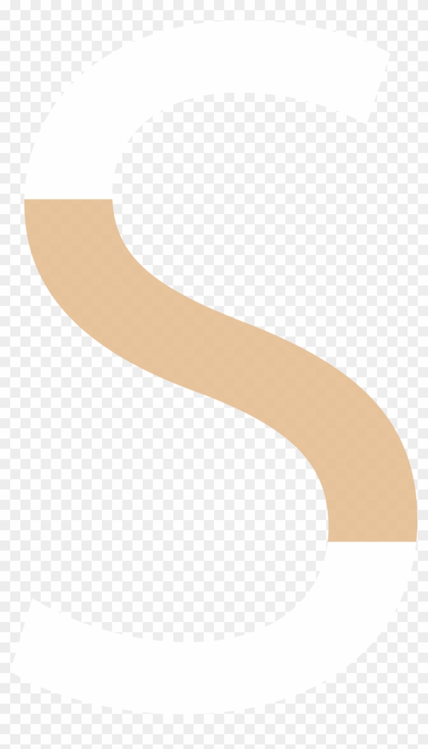 The Spine Highlighted - The Spine Highlighted #1761148