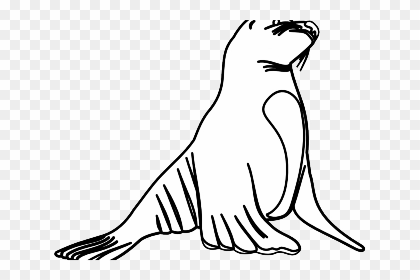 Leopard Seal Clipart Transparent - Drawing Of Guadalupe Fur Seal #1761214