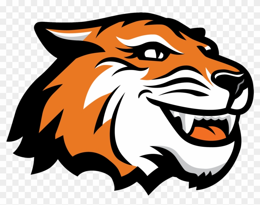 Printmaking & More - Printmaking & More #1761331