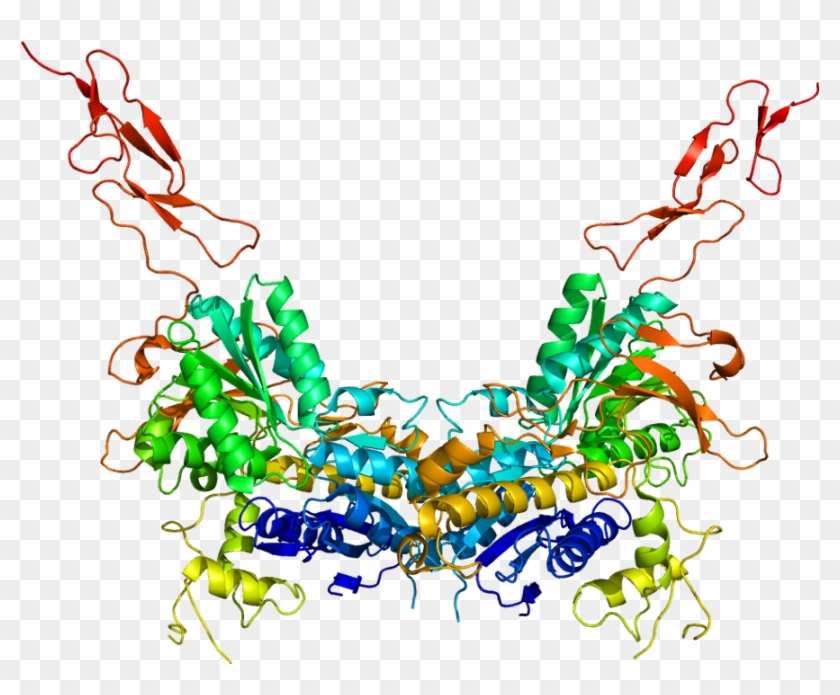 Metabotroper Glutamatrezeptor - Metabotropic Glutamate Receptor Structure Grm6 #1761678