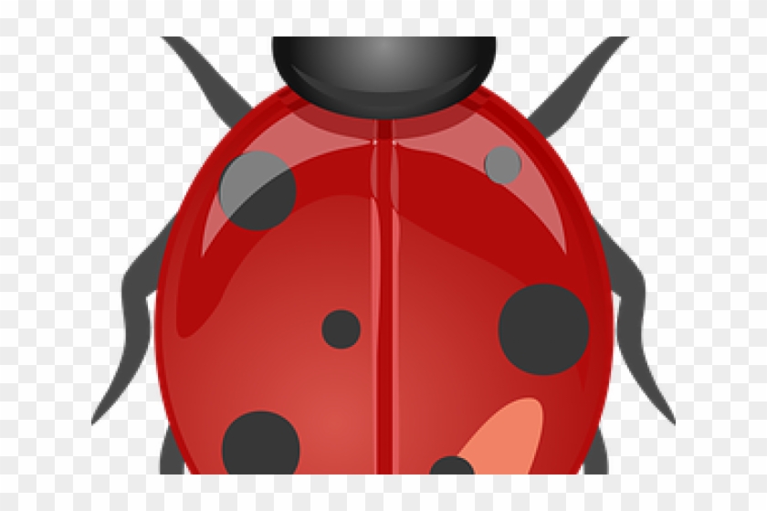 Lady Beetle Clipart Garden Creature - Coccinella Lady Bug #1761810