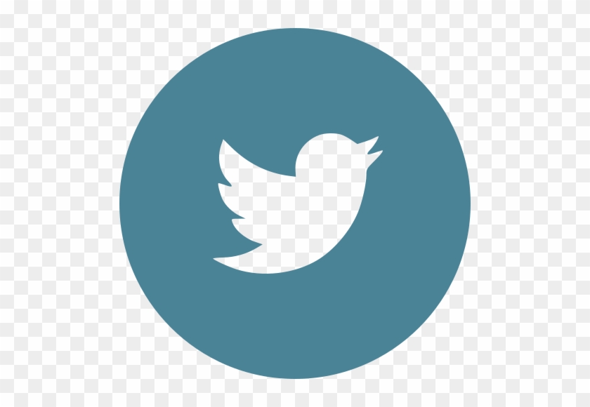 Links To The Expedition - Twitter Logo Circle Blue #1761823