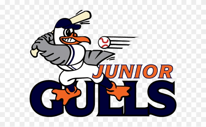 Jr Gulls U White - Newport Gulls #1761897