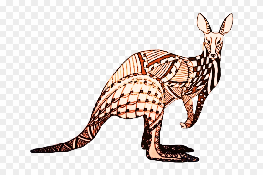 Kangaroo #1762052