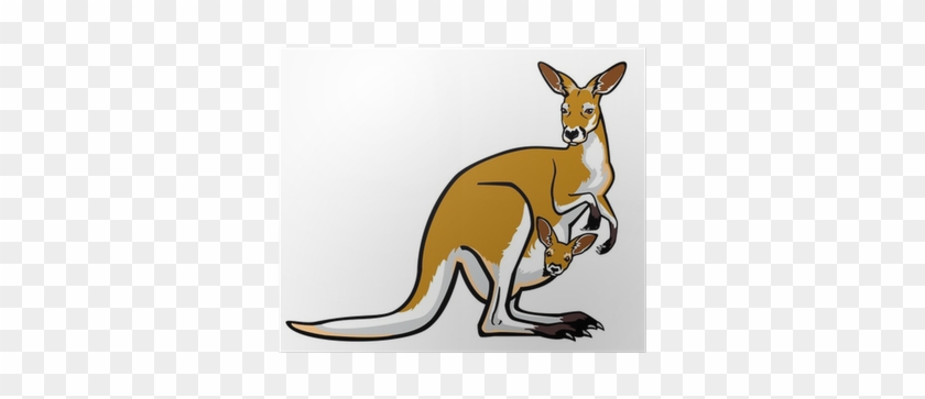 Poster Rote Känguru Frau Mit Joey Im Beutel • Pixers® - Female Red Kangaroo With Joey #1762061