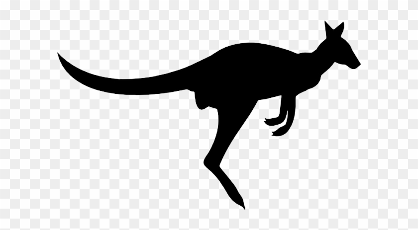 Kangaroo Silhouette Png Transparent Image Png Arts - Mammal #1762079