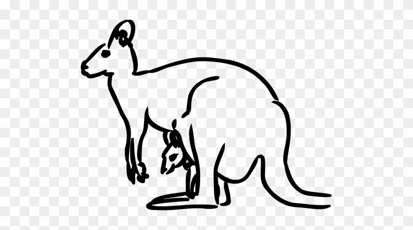 512 X 388 2 - Kangaroo Clip Art #1762096