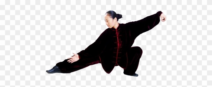 The Snake Creeps Down - Snake Creeps Down Tai Chi Tsao #1762269