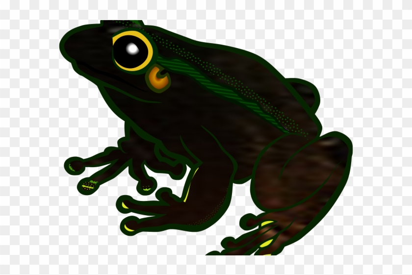 Tree Frog Clipart Transparent - Transparent Frog Clipart #1762477