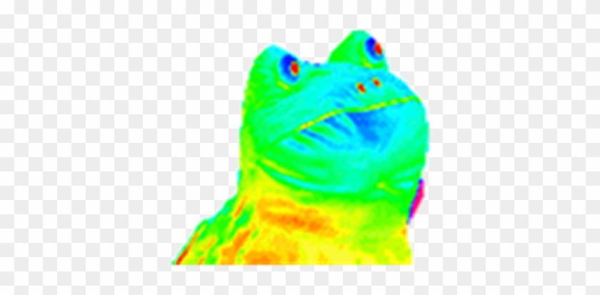 Mlg Frog Transparent - Rainbow Toad Gif #1762489