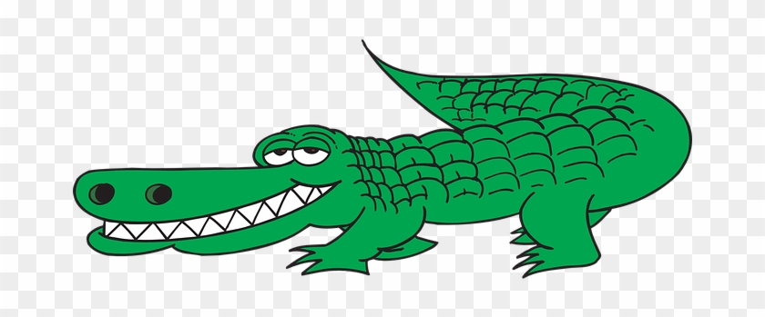 Alligator, View, Side, Tail, Teeth - Alligator, View, Side, Tail, Teeth #1762511