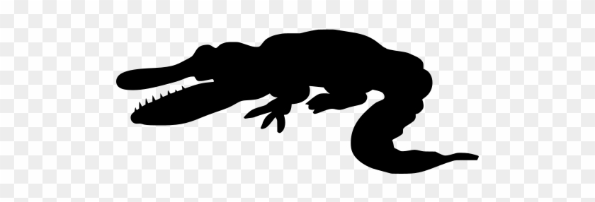 Info - Caiman Animado #1762519