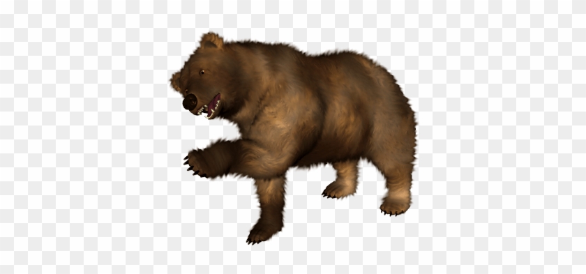 Download Brown Bear Png Image Hq Png Image Freepngimg - Brown Bear With Transparent Background #1762529