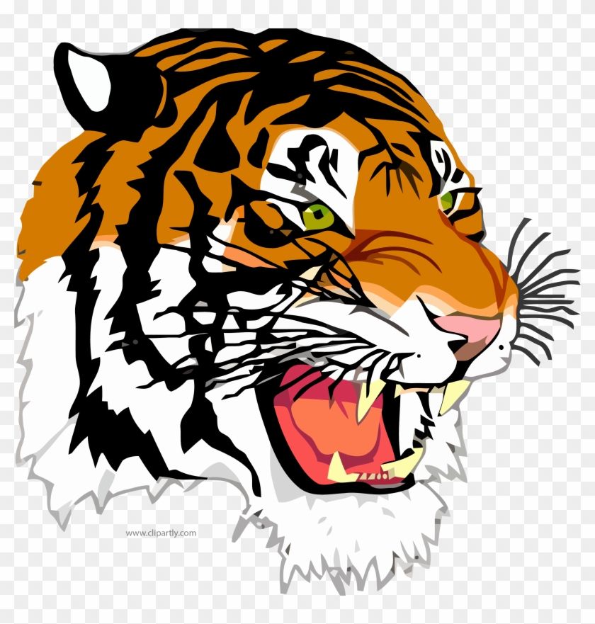Tigger Face Clipart Png Image Download - Belleville High School Tigers #1762575