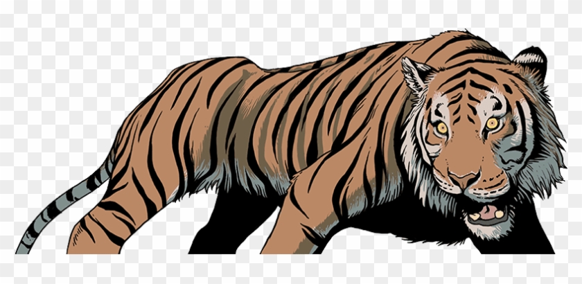 Clipart Tiger Wild Animals - Illustration #1762576