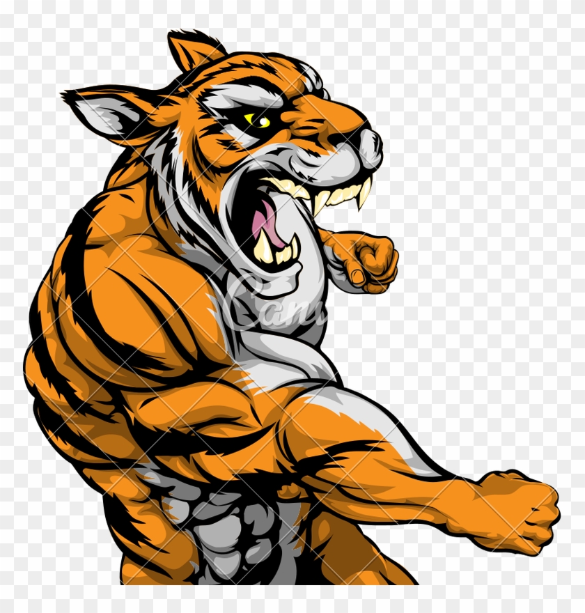 Angry Muscular Tiger - Tiger Roaring Clipart Free #1762586
