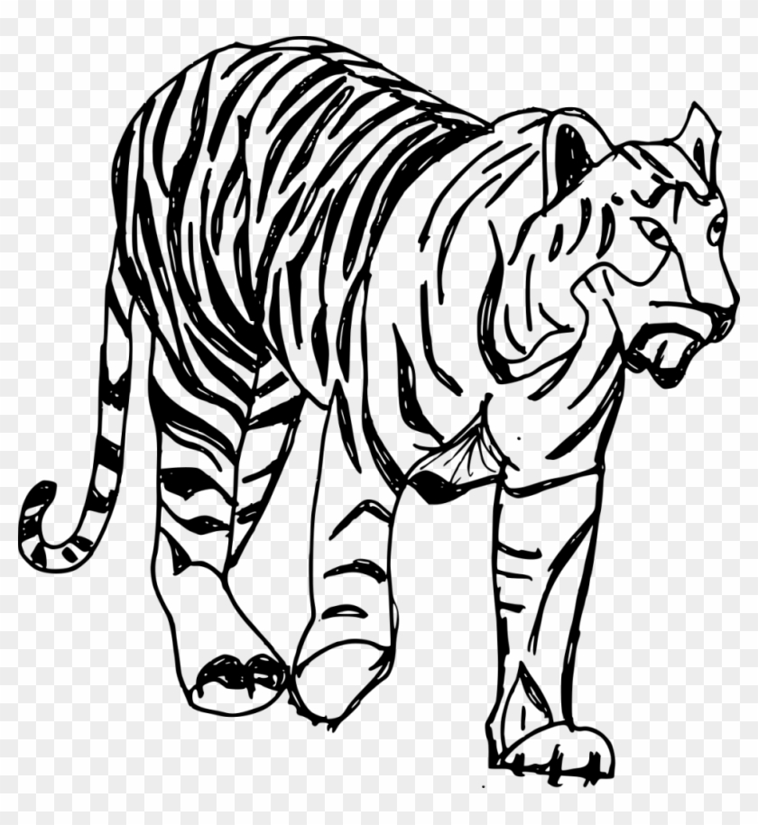 1184 × 1235 Px - Transparent Background Tiger Drawing Transparent #1762595