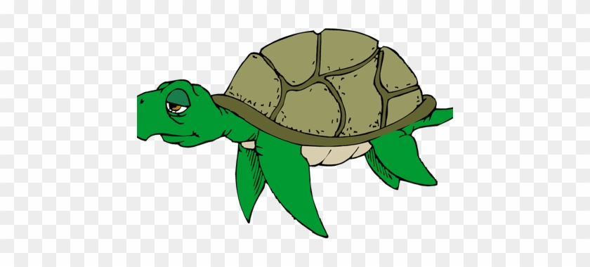 Images Of Cartoon K Pictures Full Hq - Sad Sea Turtle Clipart #1762818