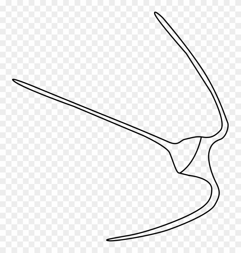 Free Dinoflagellata - Line Art #1763002