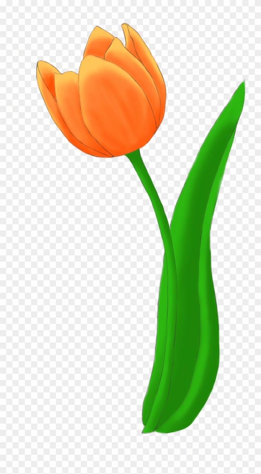 Tulips Flower Bundle Transpa Png Clipart Free Ya - Tulip #1763006