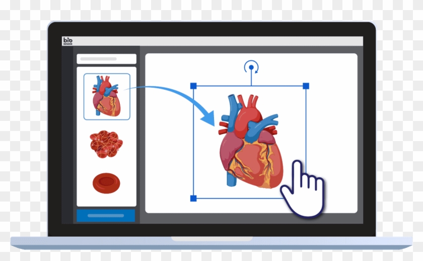 Drag And Drop Science Icons To Create Science Figures - Slam Dunk #1763060