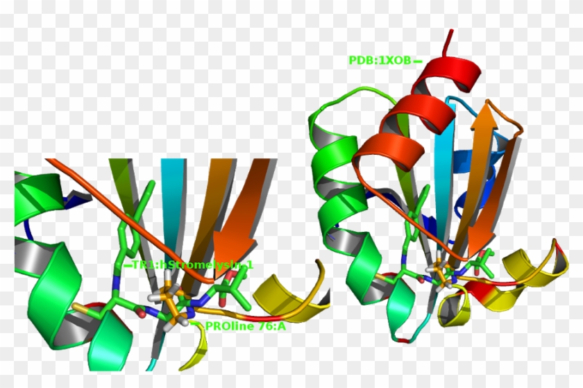 Secreted Trx May Participate In Removing Inhibitors - Graphic Design #1763548