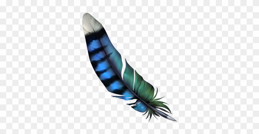 332 X 400 3 - Bluejay Feather Png #1763773