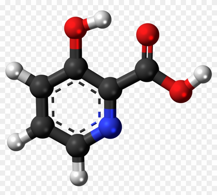 Dihydropyridines - Niacin Chemical Structure #1764130