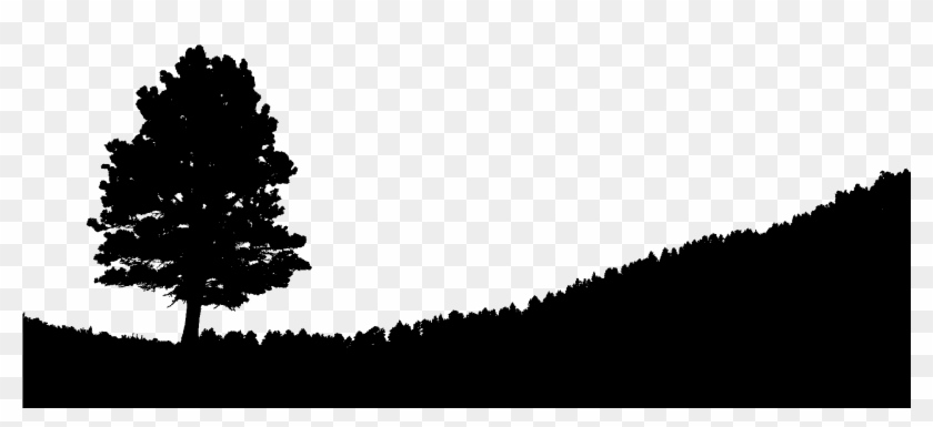 Graphic Black And White Library Silhouette At Getdrawings - Hill And Tree Silhouette #1764284