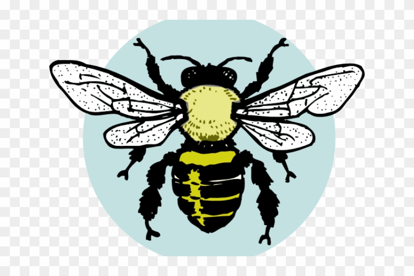 Bumblebee Clipart Vintage Bee - Bee Clip Art Free Black And White #1764357