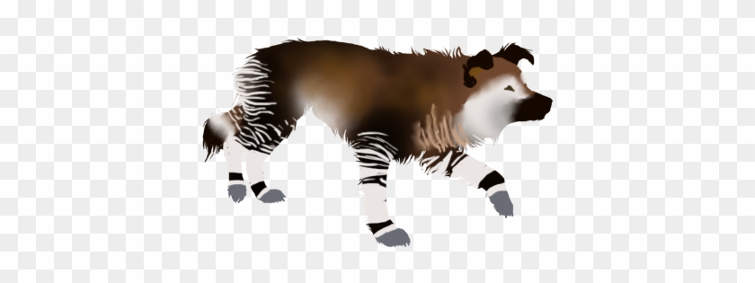Okapi - - Cat Jumps #1764358