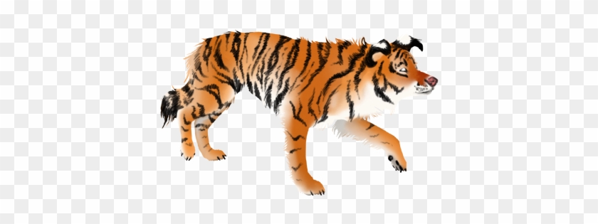Bengaltigerdye - - Siberian Tiger #1764361