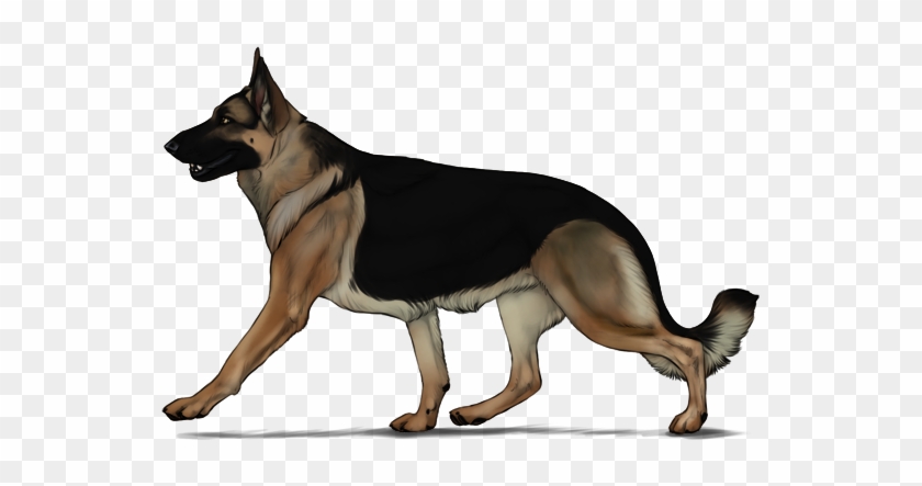 German Shepherd Transparent Image Arts Png Png File - Herding Dog Png #1764382