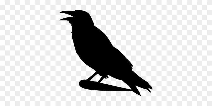 Crow Raven Bird Halloween Animal Dark Feat - Crow Raven Bird Halloween Animal Dark Feat #1764664